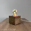 3D LED Night Light-16.webp