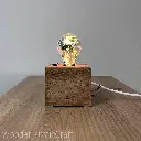3D LED Night Light-12.webp