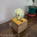 Cube Desk or Bedside Lamp Small-16.webp